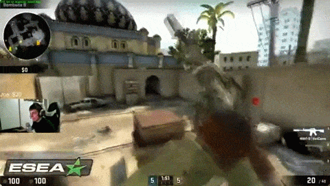 82wr.gif