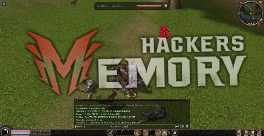8dr5YV.jpg