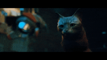 Cat Game GIF by Annapurna Interactive