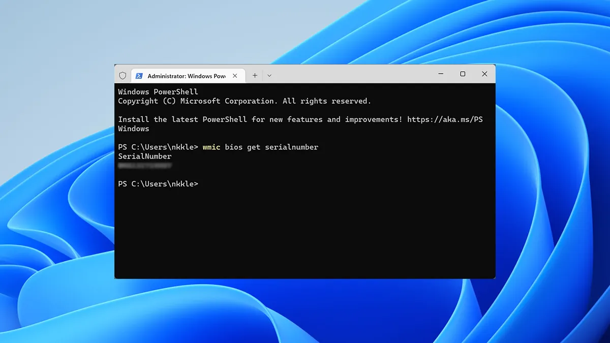 Serial-Number-Header.png