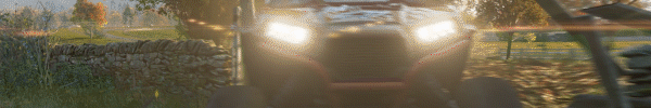 ForzaHorizon4_AboutSectionGIF_3_600x100.gif