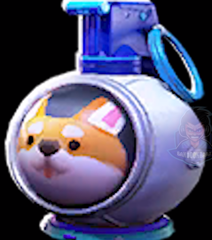 p2moXr.png