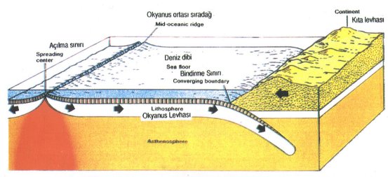 22962564.jpg