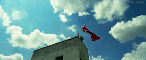 yEj1MN.gif