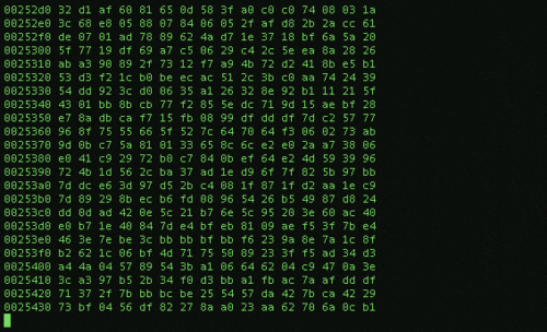giphy.gif