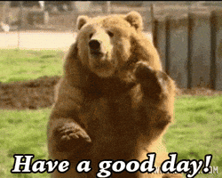 Good Day Reaction GIF by MOODMAN