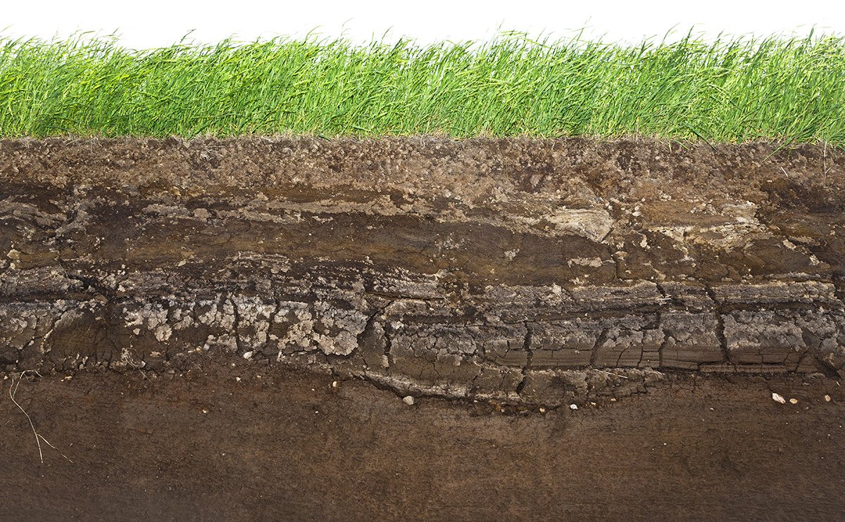 science-of-soil-hero-image.jpg