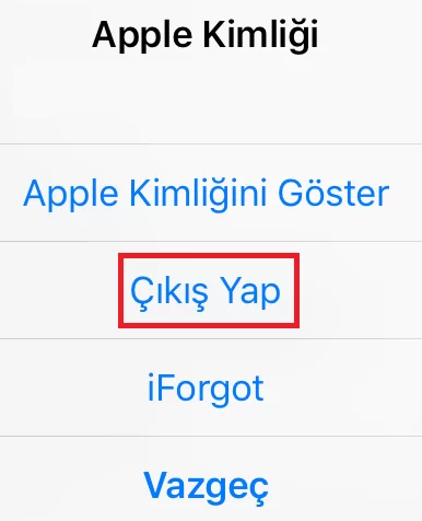 amerika-app-store-acma-1-cikis.png