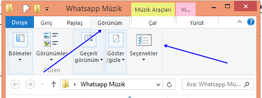 g%C3%B6r%C3%BCn%C3%BCm.png