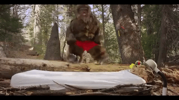 celebrate hip hip hooray GIF by Purple