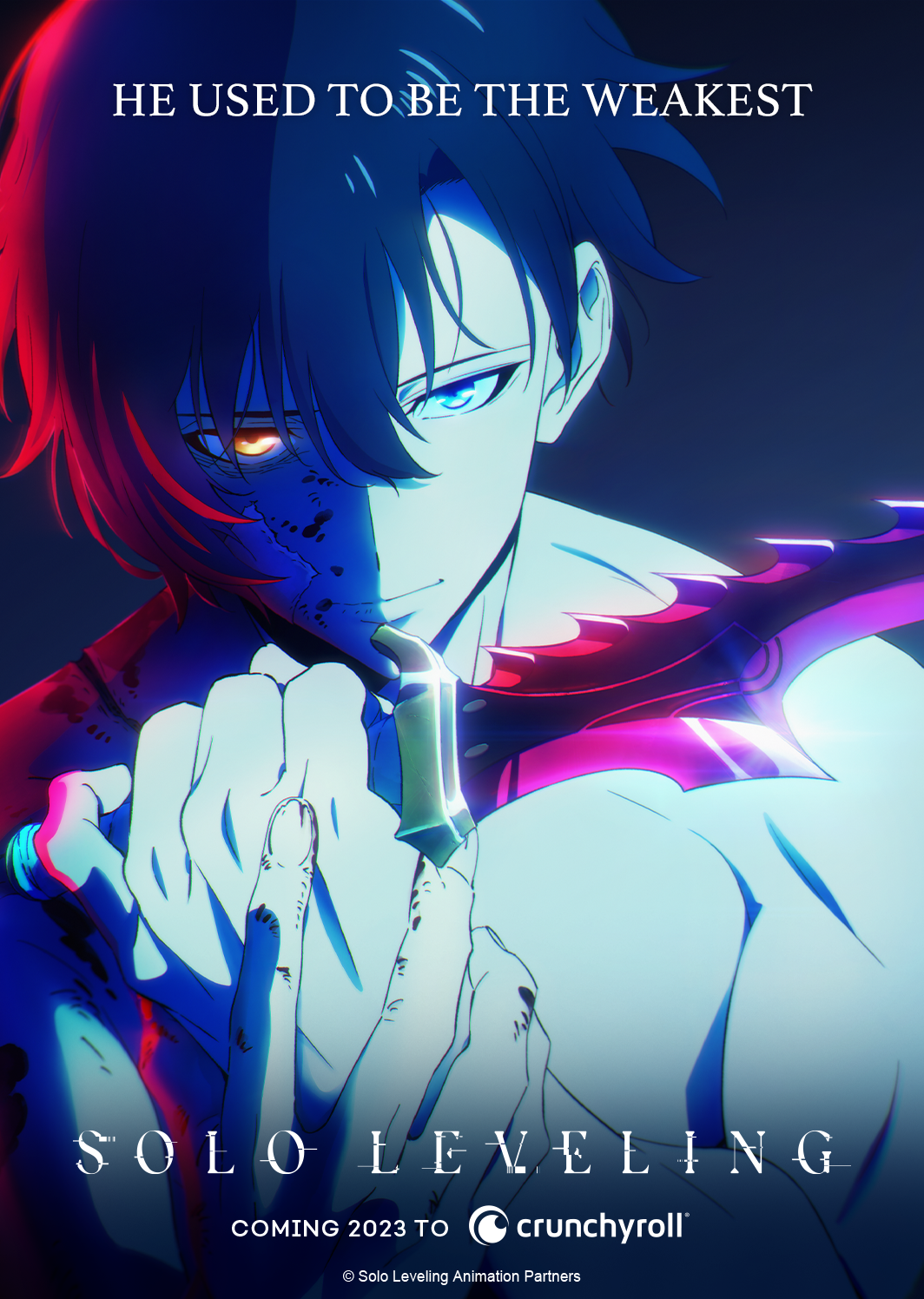 4e5bdd97a94b14db7427810beabf005d1656868653_main.png