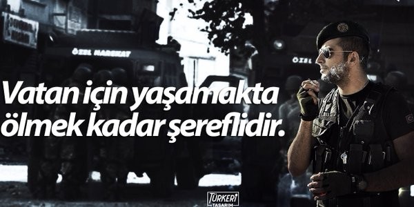 p02QNa.jpg